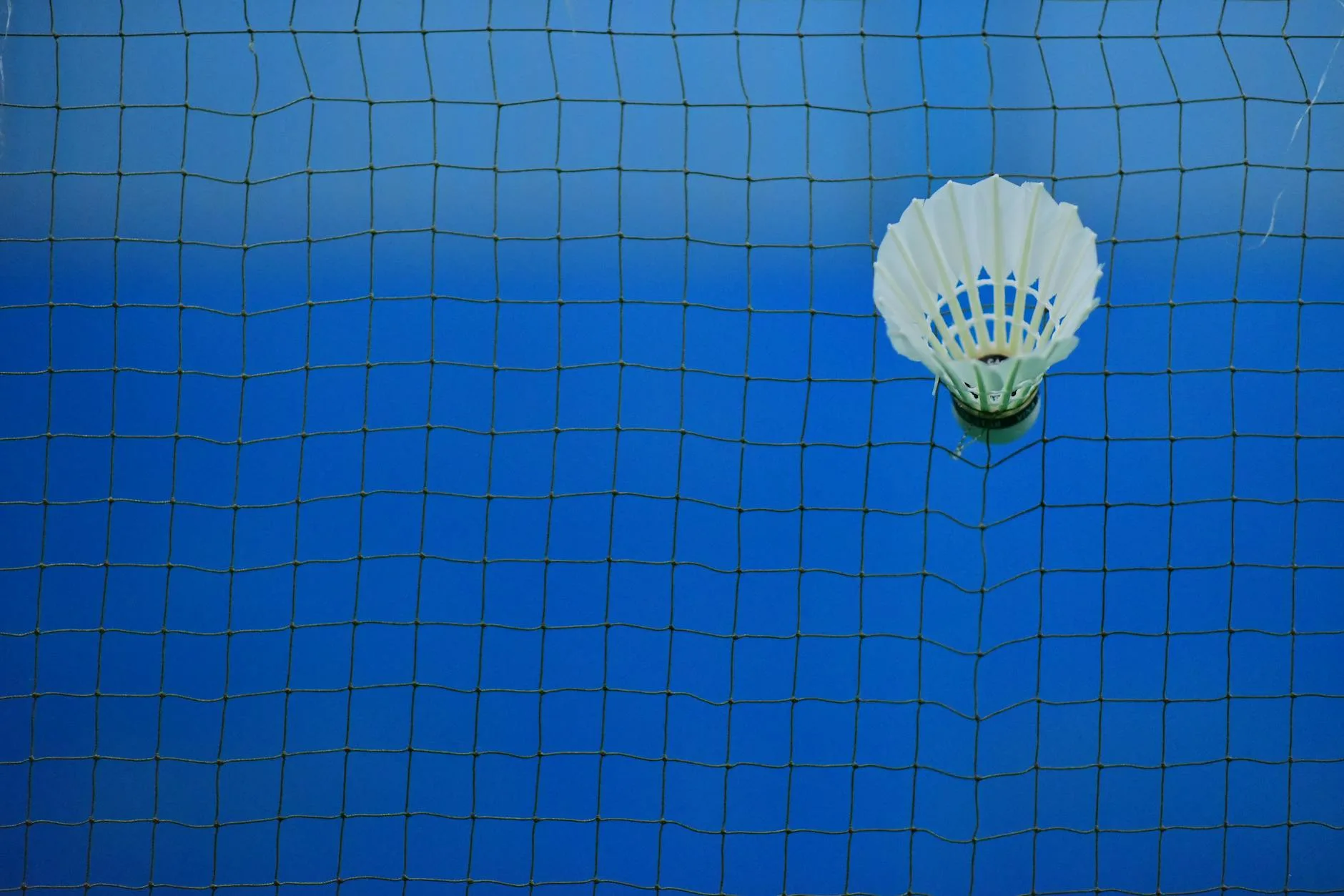 Net shot di depan net