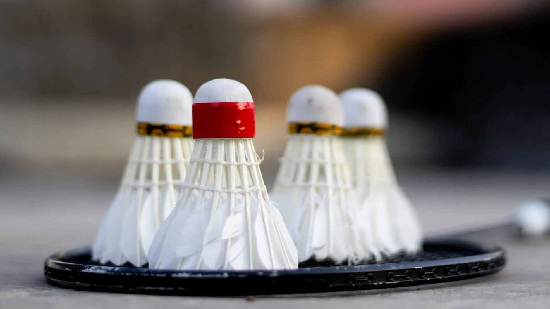 Shuttlecock latihan indoor